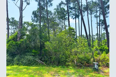308 Sea Haven Drive, Port Saint Joe, FL 32456 - Photo 1
