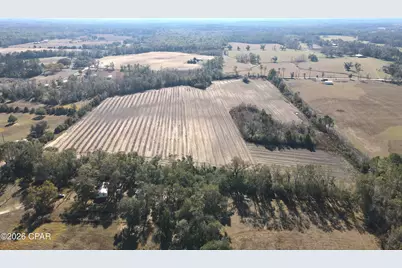 0 Rob Forehand Road, Bonifay, FL 32425 - Photo 5