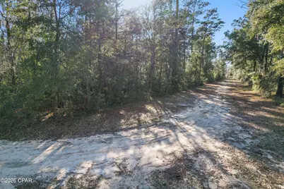 000 Lot 1 Cypress, Chipley, FL 32428 - Photo 13