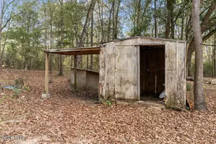 2635 Springhill Rd, Bonifay, FL 32425 - Photo 35