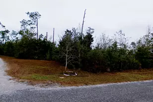 0 Klondyke Rd, Youngstown, FL 32466 - Photo 1