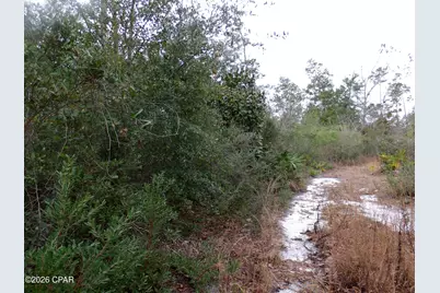 0 Klondyke Road, Youngstown, FL 32466 - Photo 7