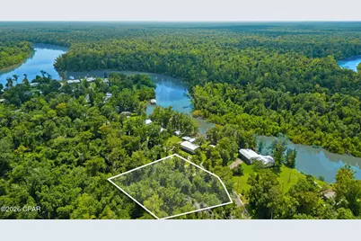 316 Byrd Parker Drive, Wewahitchka, FL 32465 - Photo 3