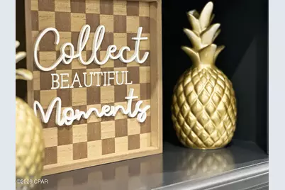 542 Vermilion Circle, Port Saint Joe, FL 32456 - Photo 57