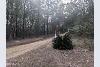 1900 Olive Lane, Bonifay, FL 32425 - Photo 41