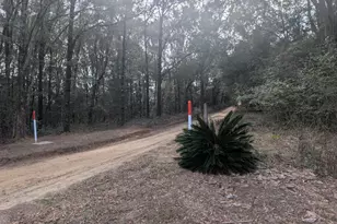 1900 Olive Ln, Bonifay, FL 32425 - Photo 41