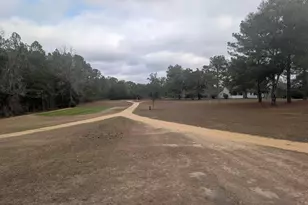 1900 Olive Ln, Bonifay, FL 32425 - Photo 37