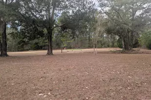 1900 Olive Ln, Bonifay, FL 32425 - Photo 33