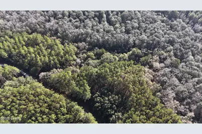 00 Southern Oak Way, Westville, FL 32464 - Photo 5