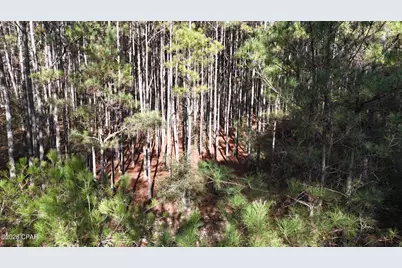 00 Southern Oak Way, Westville, FL 32464 - Photo 3