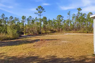 10904 Alex Dr, Fountain, FL 32438 - Photo 43