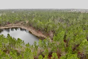 114 Widewater Cir, Wewahitchka, FL 32465 - Photo 1