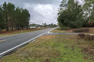 4561 Basswood Rd, Greenwood, FL 32443 - Photo 3