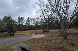 4561 Basswood Rd, Greenwood, FL 32443 - Photo 7