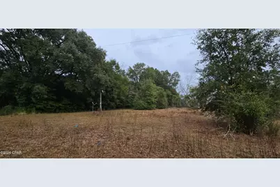 4561 Basswood Road, Greenwood, FL 32443 - Photo 9