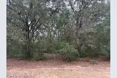 00 Leaf Court, Marianna, FL 32448 - Photo 1