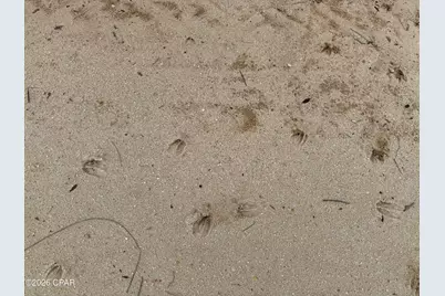 00 Leaf Court, Marianna, FL 32448 - Photo 7