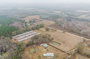 1208 Alex Brown Rd, Bonifay, FL 32425 - Photo 45