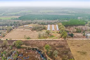 1208 Alex Brown Rd, Bonifay, FL 32425 - Photo 43