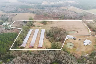 1208 Alex Brown Rd, Bonifay, FL 32425 - Photo 51