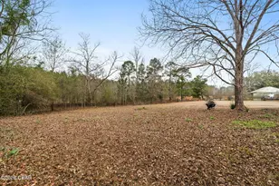 1208 Alex Brown Rd, Bonifay, FL 32425 - Photo 41