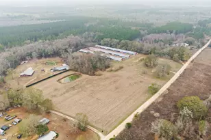 1208 Alex Brown Rd, Bonifay, FL 32425 - Photo 47