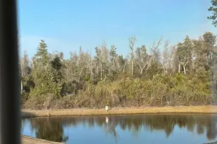 3112 Meadow St, Lynn Haven, FL 32444 - Photo 23