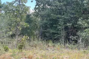 0 Yarmouth Ave, Chipley, FL 32428 - Photo 1