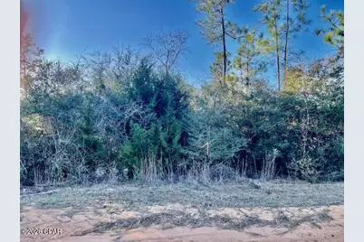 0 Carver Circle, Alford, FL 32420 - Photo 7