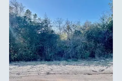 0 Carver Circle, Alford, FL 32420 - Photo 3