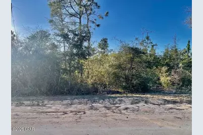 0 Carver Circle, Alford, FL 32420 - Photo 9