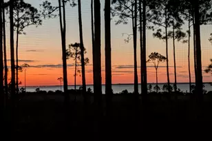 7603 Coastal Hammock Trail, Panama City Beach, FL 32413 - Photo 51