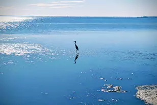 7603 Coastal Hammock Trail, Panama City Beach, FL 32413 - Photo 87