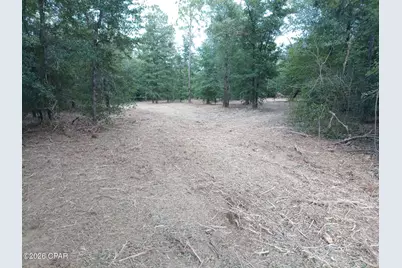 13111 Timbercrest Road, Fountain, FL 32438 - Photo 5