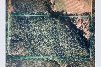 5033 Douglas Ferry Road, Caryville, FL 32427 - Photo 11