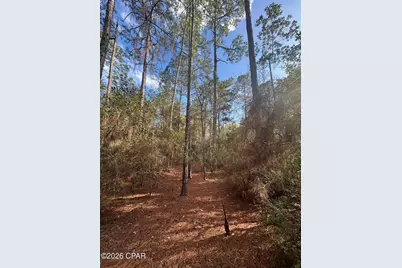 5033 Douglas Ferry Road, Caryville, FL 32427 - Photo 7