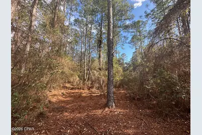 5033 Douglas Ferry Road, Caryville, FL 32427 - Photo 5