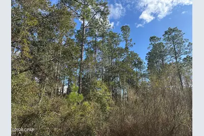 5033 Douglas Ferry Road, Caryville, FL 32427 - Photo 3