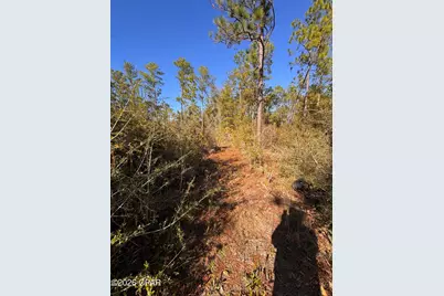 23588 NW Lamont Road, Fountain, FL 32438 - Photo 15