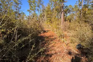 23588 NW Lamont Rd, Fountain, FL 32438 - Photo 15