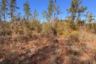 23588 NW Lamont Rd, Fountain, FL 32438 - Photo 25