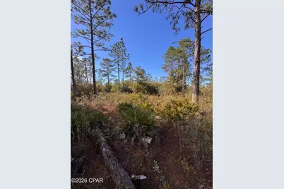 23588 NW Lamont Road, Fountain, FL 32438 - Photo 37