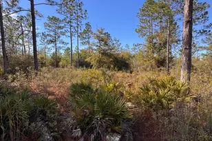 23588 NW Lamont Rd, Fountain, FL 32438 - Photo 37