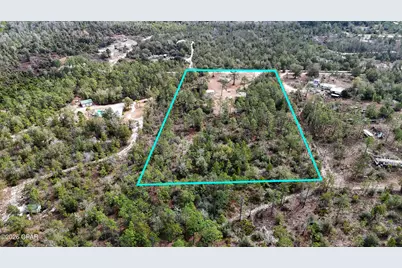 23588 NW Lamont Road, Fountain, FL 32438 - Photo 3