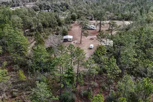 23588 NW Lamont Rd, Fountain, FL 32438 - Photo 5