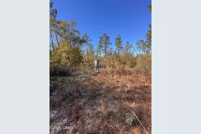 23588 NW Lamont Road, Fountain, FL 32438 - Photo 25