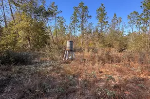 23588 NW Lamont Rd, Fountain, FL 32438 - Photo 25