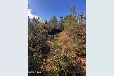 23588 NW Lamont Road, Fountain, FL 32438 - Photo 31