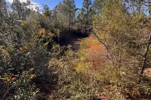 23588 NW Lamont Rd, Fountain, FL 32438 - Photo 31