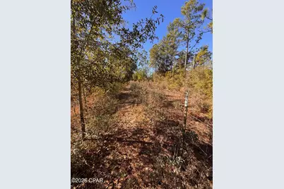 23588 NW Lamont Road, Fountain, FL 32438 - Photo 13